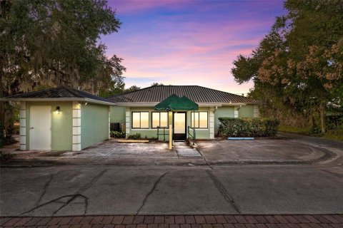 Commercial property in Eustis, Florida 181.16 sq.m. № 2329114 - photo 25