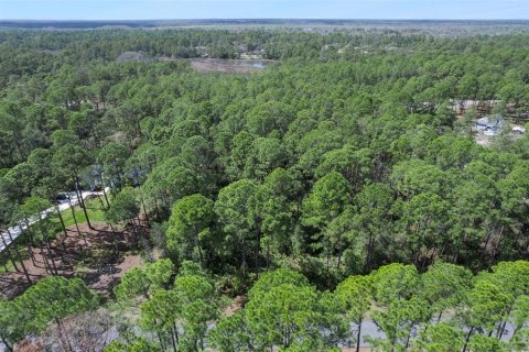 Terrain à vendre à Eustis, Floride № 2099402 - photo 21