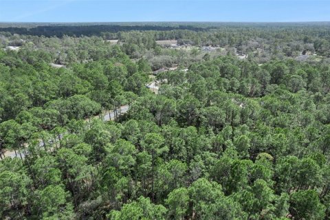 Terrain à vendre à Eustis, Floride № 2099402 - photo 22