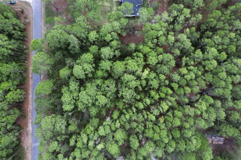 Terrain à Eustis, Floride № 2099402