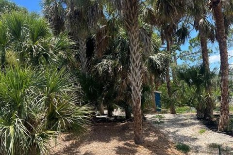 Terreno en venta en Port Charlotte, Florida № 1535242 - foto 1