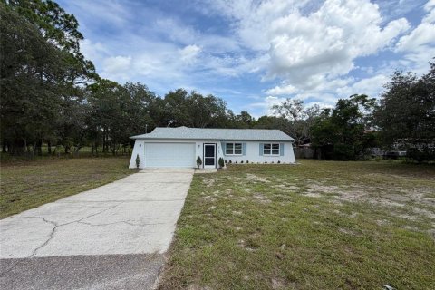 House in Weeki Wachee, Florida 2 bedrooms, 101.08 sq.m. № 2329184 - photo 29