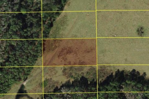 Land in Polk City, Florida № 2159550 - photo 3