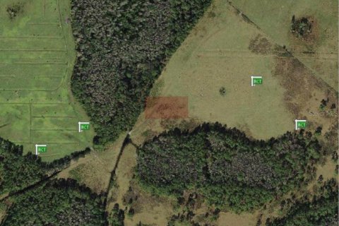 Land in Polk City, Florida № 2159550 - photo 4