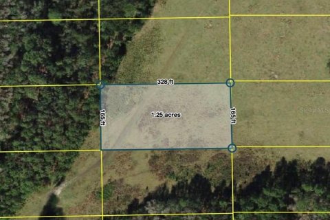 Land in Polk City, Florida № 2159550 - photo 5