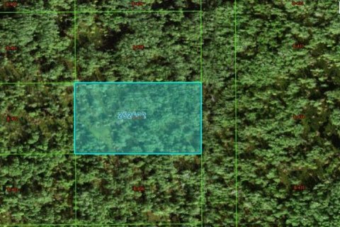 Terrain à Polk City, Floride № 2164082