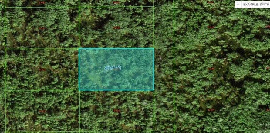 Terreno en Polk City, Florida № 2164082