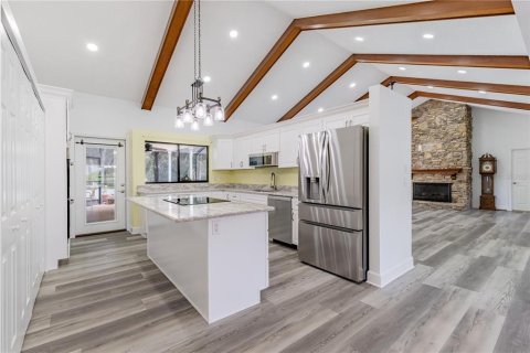 Villa ou maison à vendre à Leesburg, Floride: 3 chambres, 219.44 m2 № 2313075 - photo 13