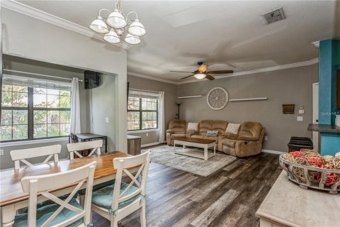 Copropriété à louer à Palm Harbor, Floride: 1 chambre, 69.68 m2 № 2150847 - photo 24