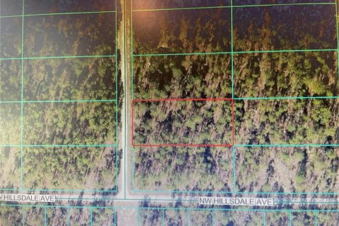 Land in Dunnellon, Florida № 2165328
