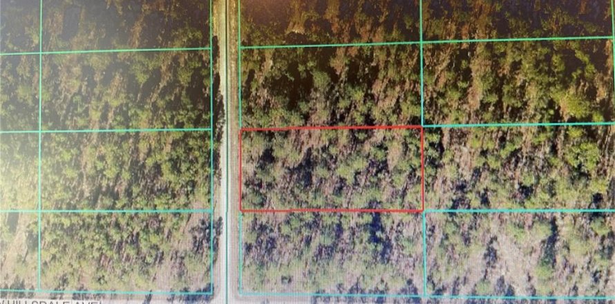 Land in Dunnellon, Florida № 2165328