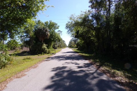 Купить земельный участок в Пунта-Горда, Флорида № 2228901 - фото 8