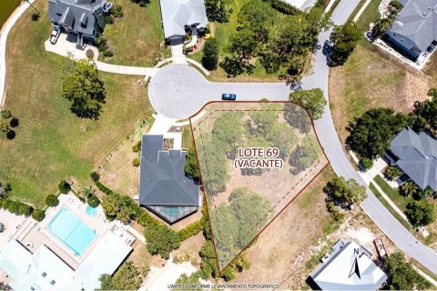 Terrain à Tarpon Springs, Floride № 2201586