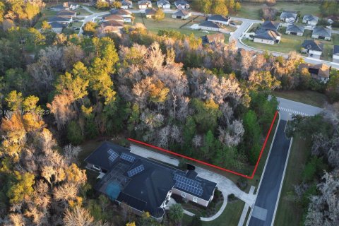 Terrain à vendre à Ocala, Floride № 1985357 - photo 3