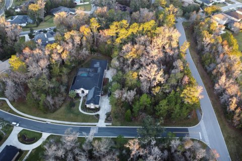 Terrain à vendre à Ocala, Floride № 1985357 - photo 7