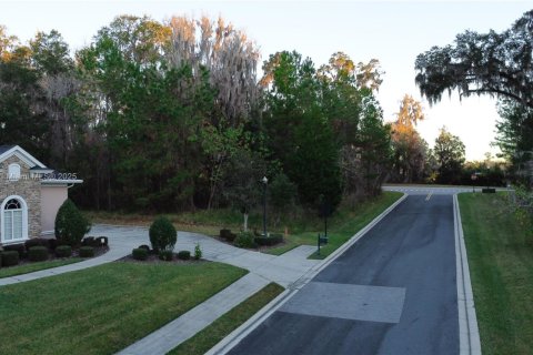 Terrain à vendre à Ocala, Floride № 1985357 - photo 5