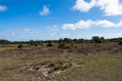 Land in Clermont, Florida № 1554229 - photo 9