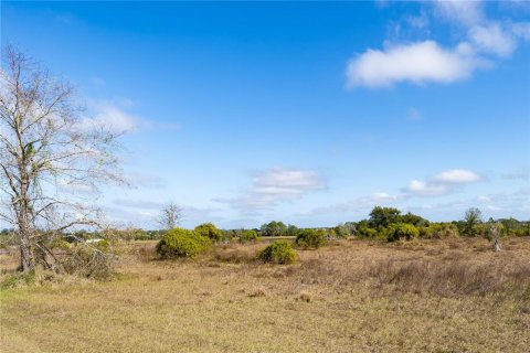 Land in Clermont, Florida № 1554229 - photo 6