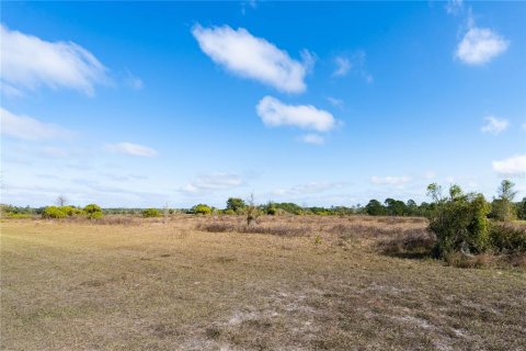Land in Clermont, Florida № 1554229 - photo 2
