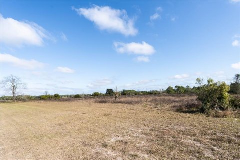 Land in Clermont, Florida № 1554229 - photo 3
