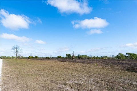 Land in Clermont, Florida № 1554229 - photo 4
