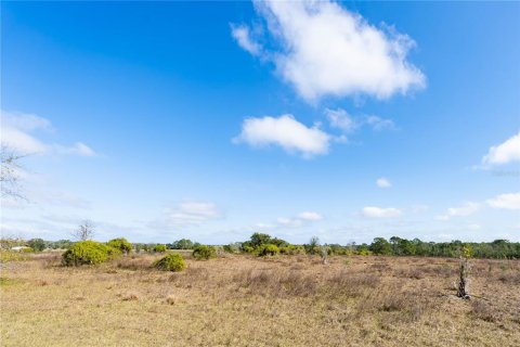 Land in Clermont, Florida № 1554229 - photo 8