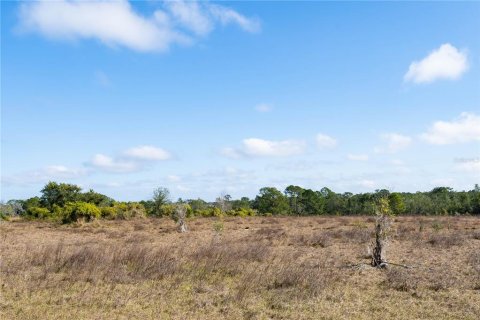 Land in Clermont, Florida № 1554229 - photo 7