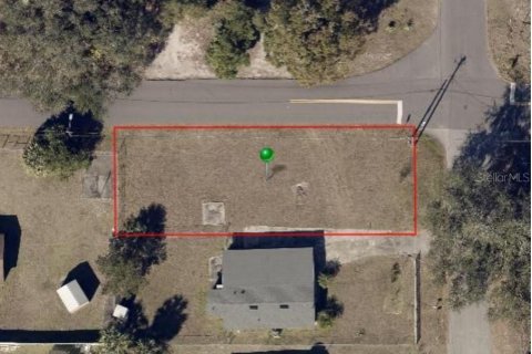 Land in DeLand, Florida № 2165287 - photo 3