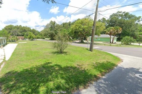 Land in DeLand, Florida № 2165287