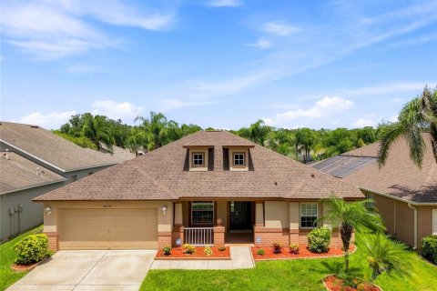 House in Wesley Chapel, Florida 4 bedrooms, 208.29 sq.m. № 2310640