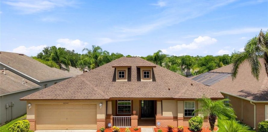 Casa en Wesley Chapel, Florida 4 dormitorios, 208.29 m2 № 2310640
