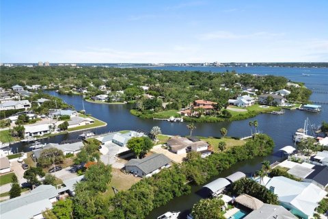 Villa ou maison à vendre à Palmetto, Floride: 3 chambres, 142.14 m2 № 2233834 - photo 4