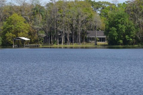 Casa en venta en Odessa, Florida, 4 dormitorios, 403.38 m2 № 1170136 - foto 4