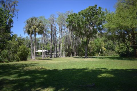 Casa en venta en Odessa, Florida, 4 dormitorios, 403.38 m2 № 1170136 - foto 9
