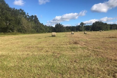 Land in Reddick, Florida № 2205910