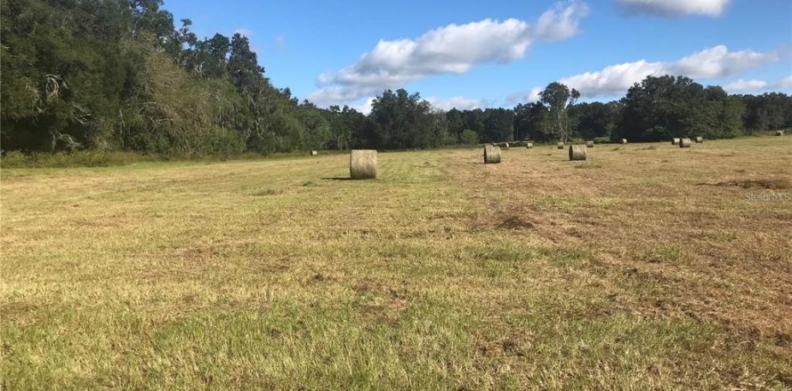 Terreno en Reddick, Florida № 2205910