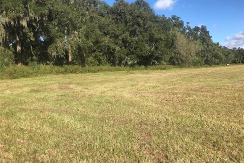 Terreno en venta en Reddick, Florida № 2205910 - foto 3