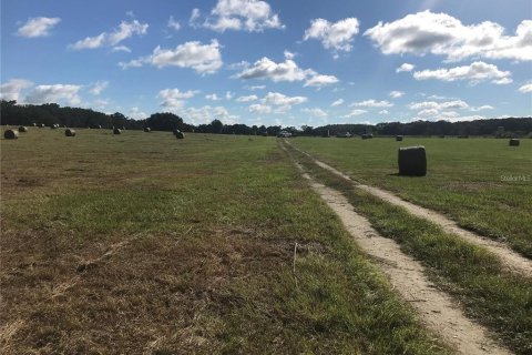 Terreno en venta en Reddick, Florida № 2205910 - foto 2