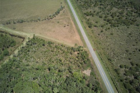 Land in Leesburg, Florida № 1755021 - photo 3