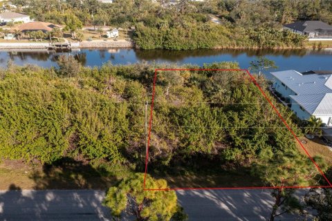 Land in Port Charlotte, Florida № 2103701 - photo 3