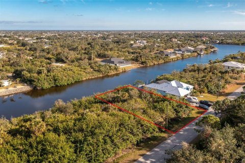 Land in Port Charlotte, Florida № 2103701 - photo 7