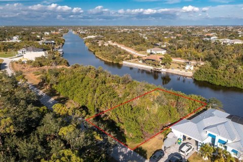 Land in Port Charlotte, Florida № 2103701 - photo 10