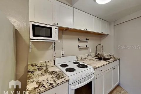 Commercial property in Clearwater, Florida 359.25 sq.m. № 2218623 - photo 27