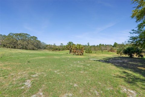 Land in Oviedo, Florida № 2100815 - photo 5