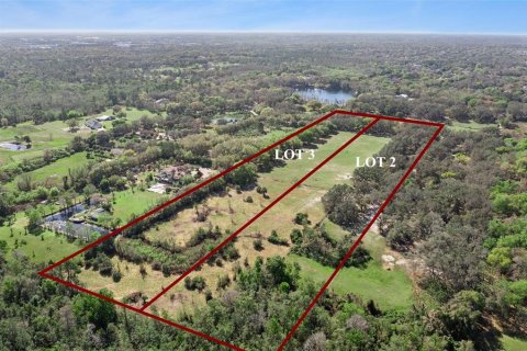Land in Oviedo, Florida № 2100815 - photo 2