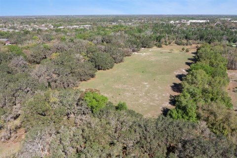 Land in Oviedo, Florida № 2100815 - photo 13