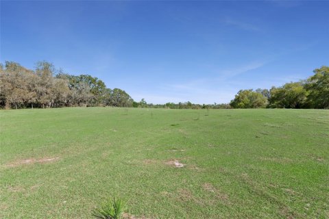 Land in Oviedo, Florida № 2100815 - photo 10