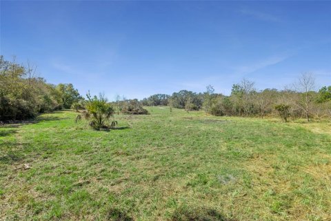 Land in Oviedo, Florida № 2100815 - photo 3