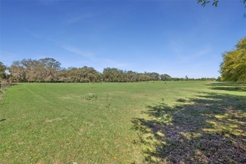 Land in Oviedo, Florida № 2100815 - photo 6