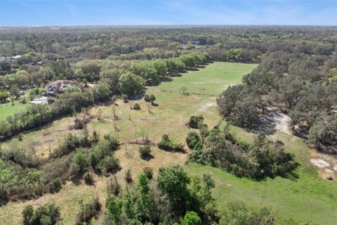 Land in Oviedo, Florida № 2100815 - photo 11